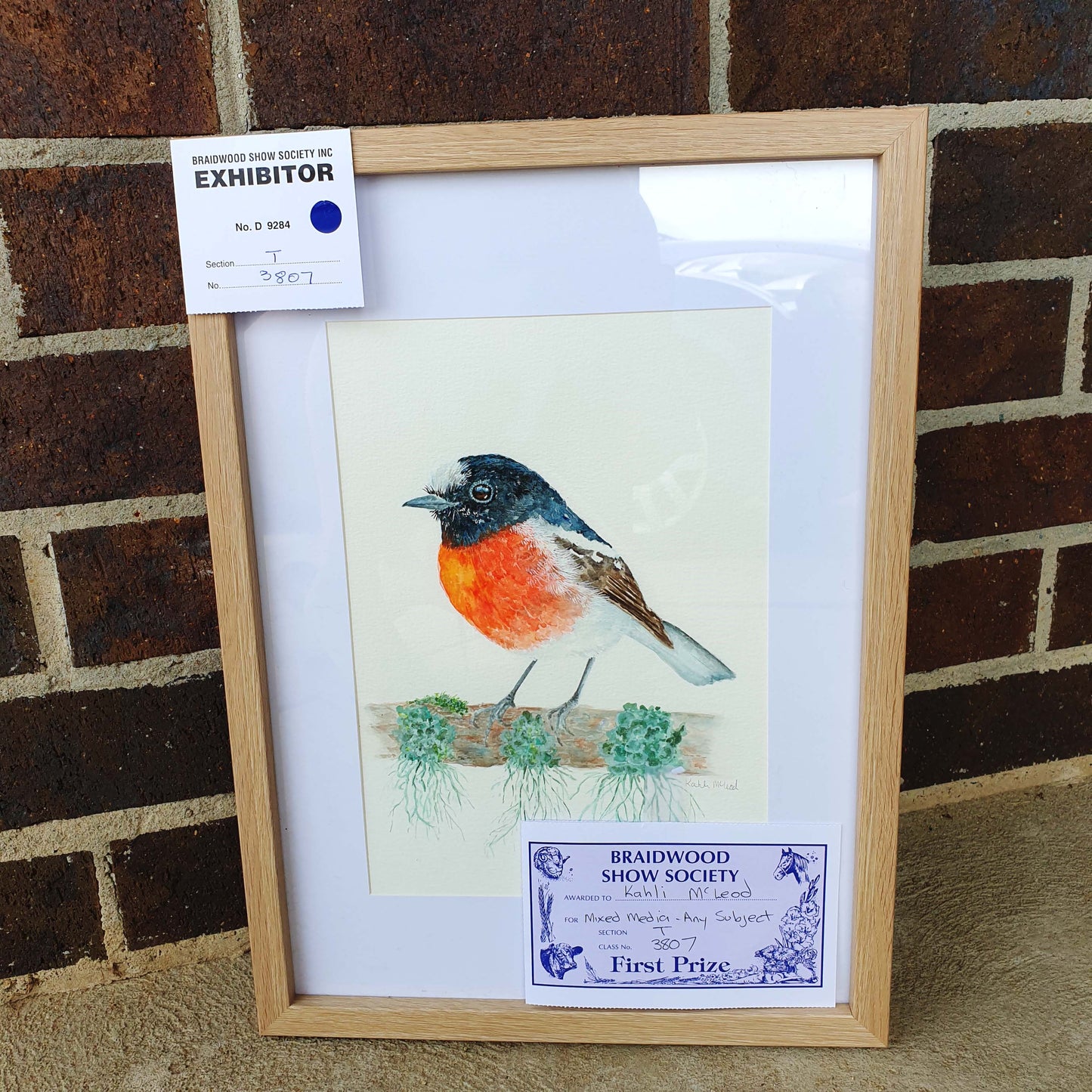 Scarlet Robin