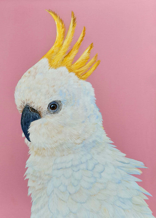 Cockatoo