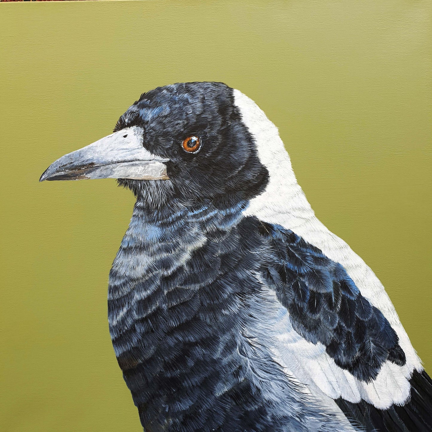 Magpie