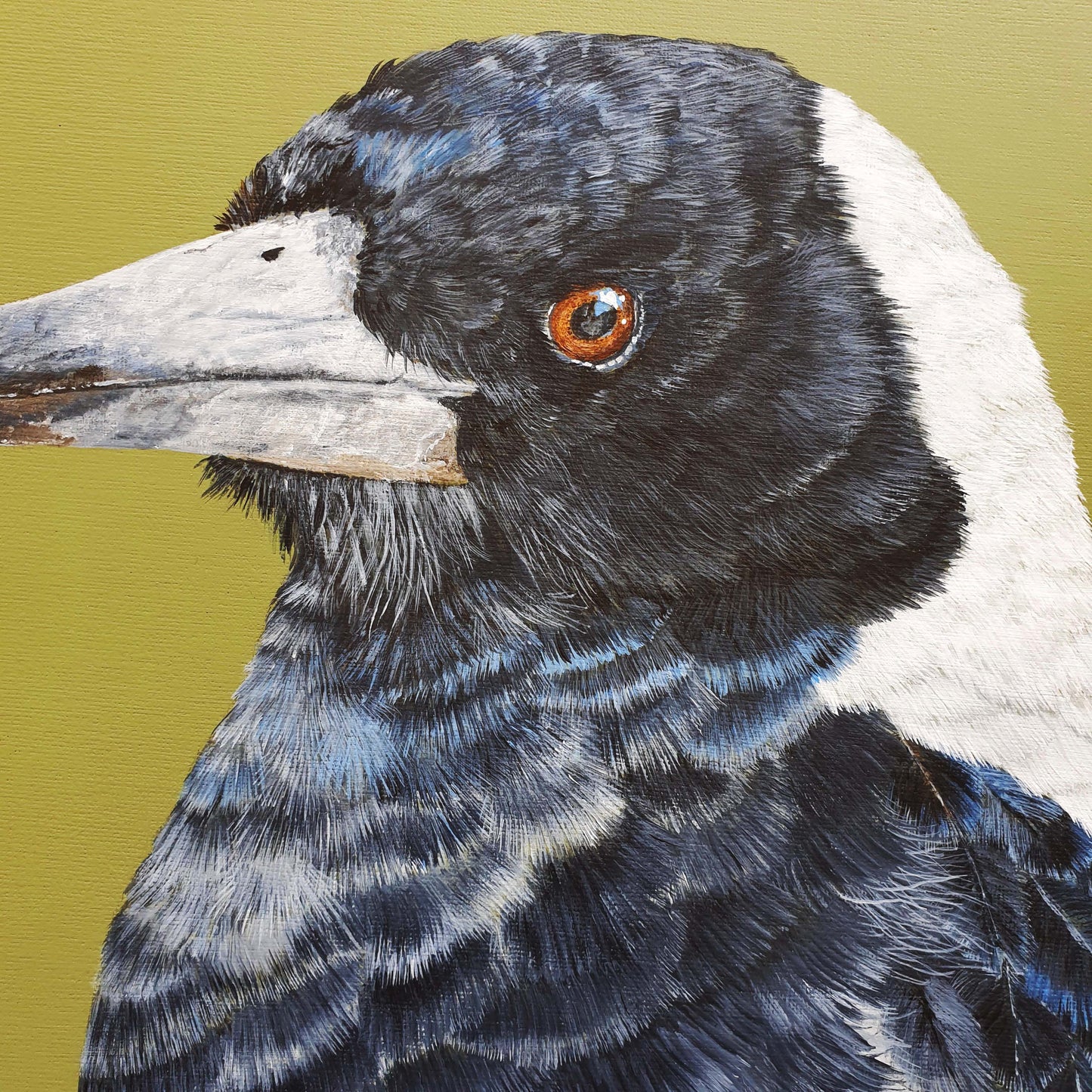 Magpie