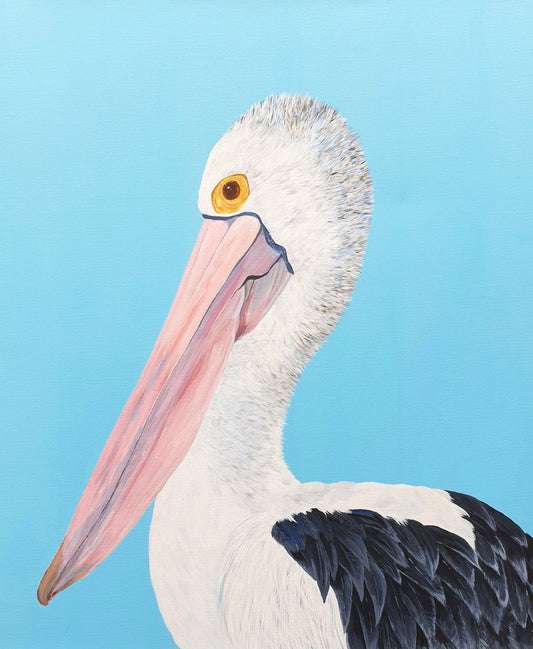 Pelican