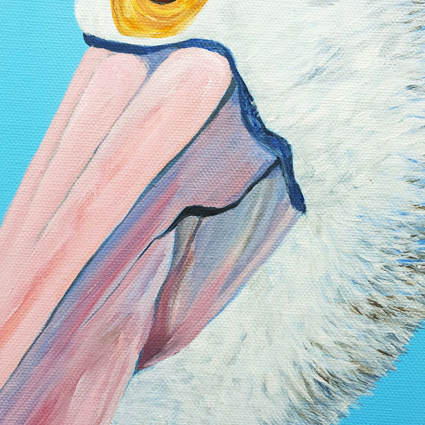 Pelican