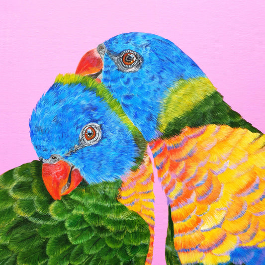 Rainbow Lorikeet