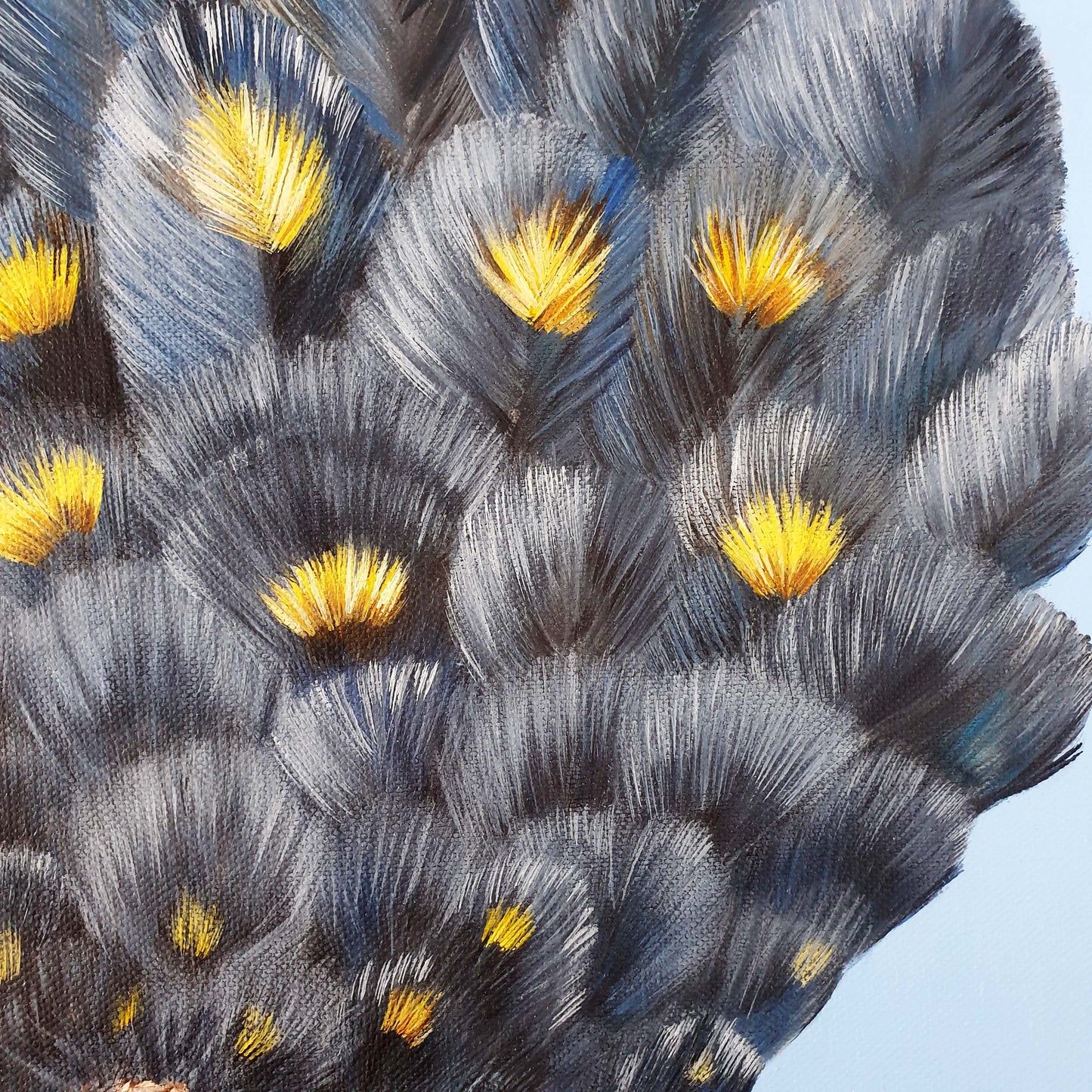 Black cockatoo