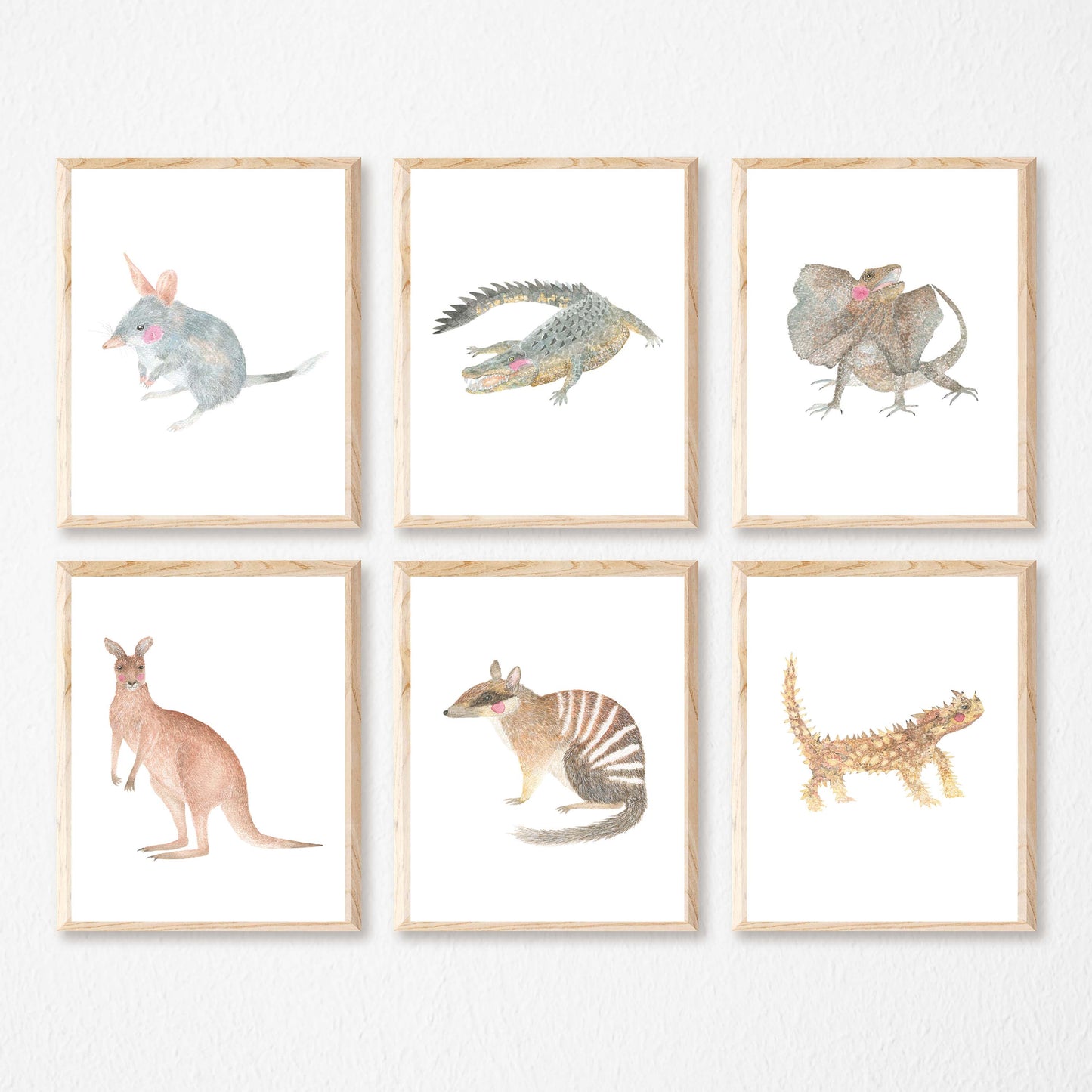 OUTBACK AUSTRALIAN ANIMALS SETS