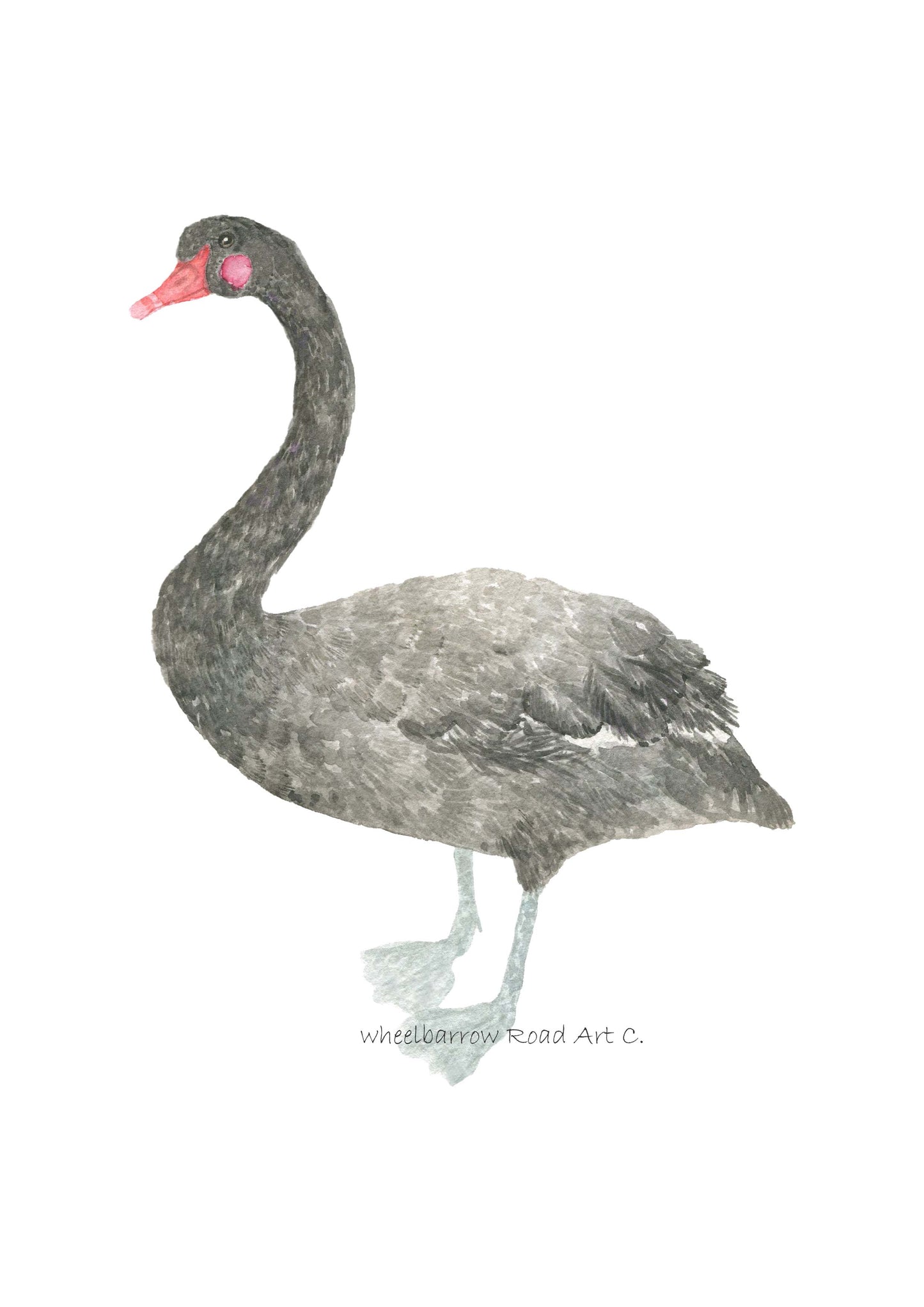 BLACK SWAN NURSERY PRINT