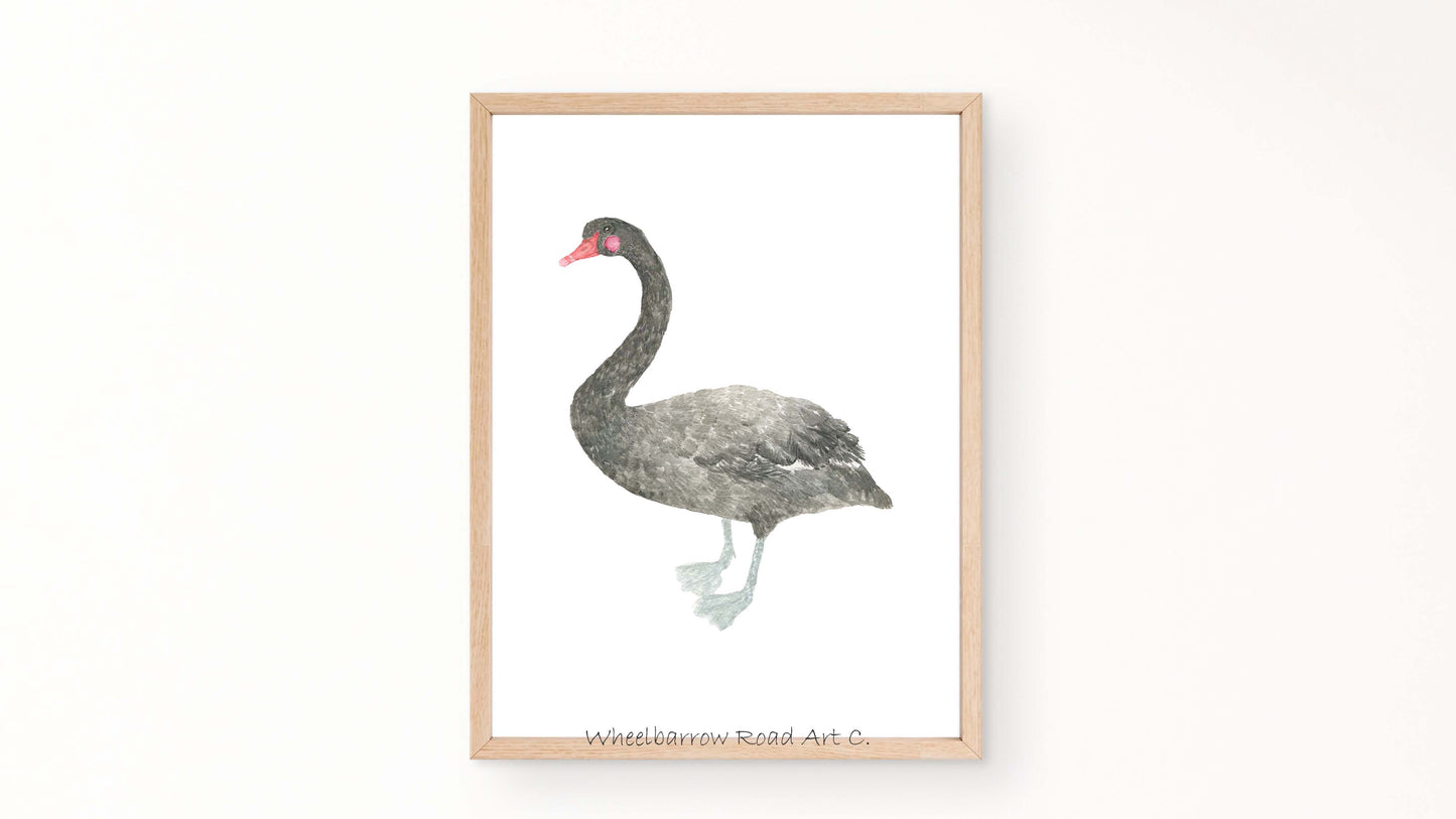 BLACK SWAN NURSERY PRINT