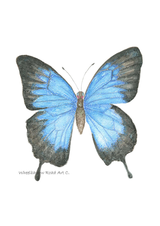 ULYSSES BUTTERFLY NURSERY PRINT