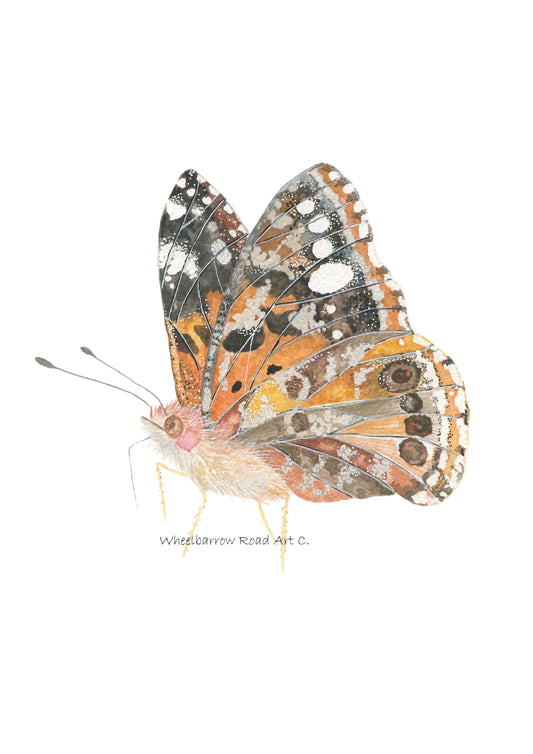 PAINTED LADY BUTTERFLY NURSERY PRINT