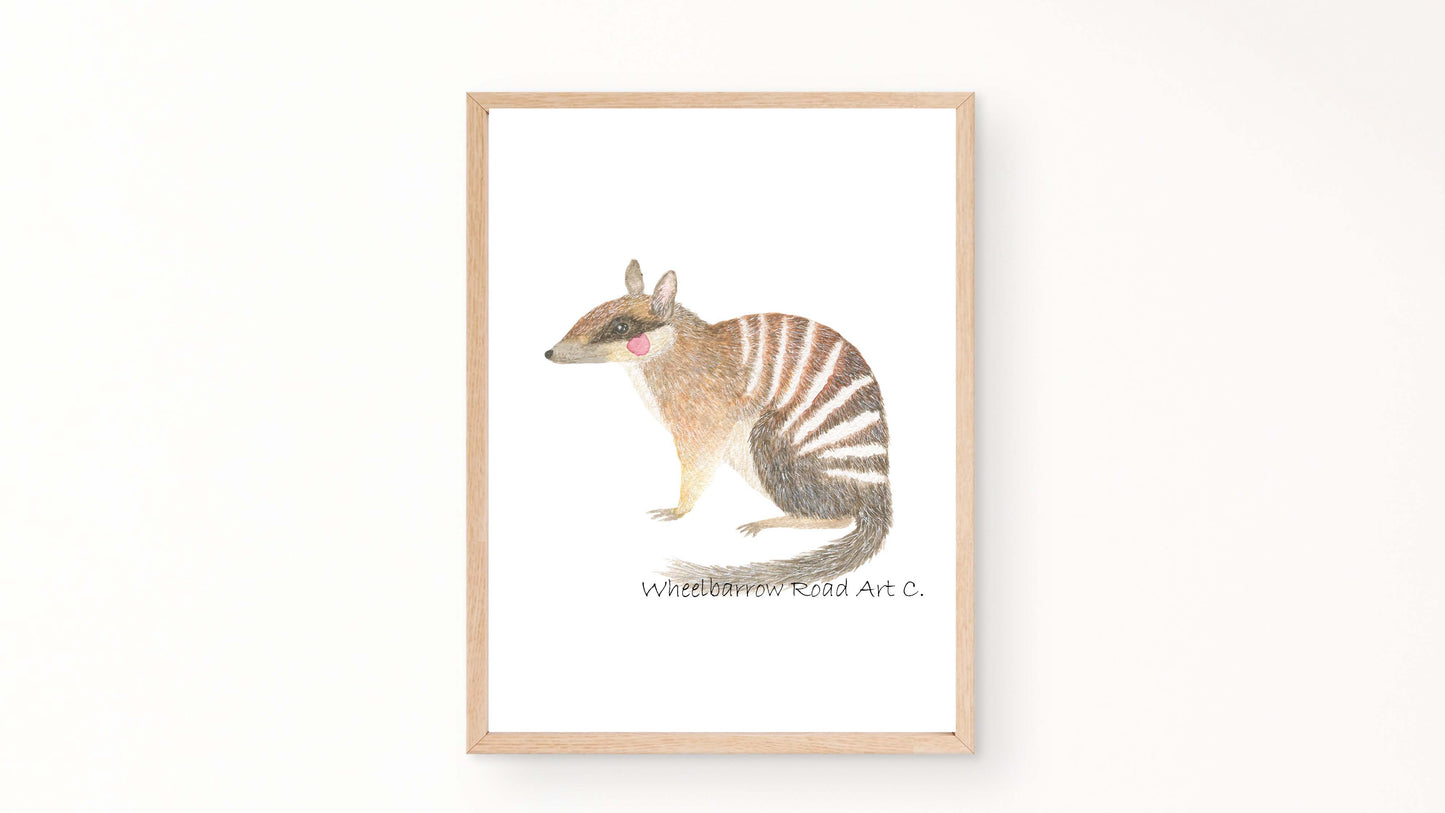 NUMBAT NURSERY PRINT