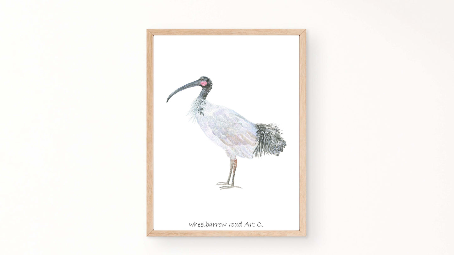 IBIS AKA BIN CHICKEN NURSERY PRINT