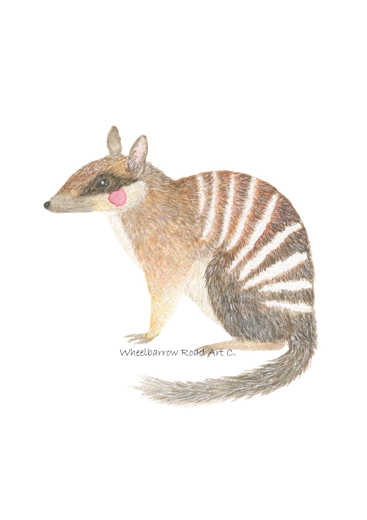 NUMBAT NURSERY PRINT