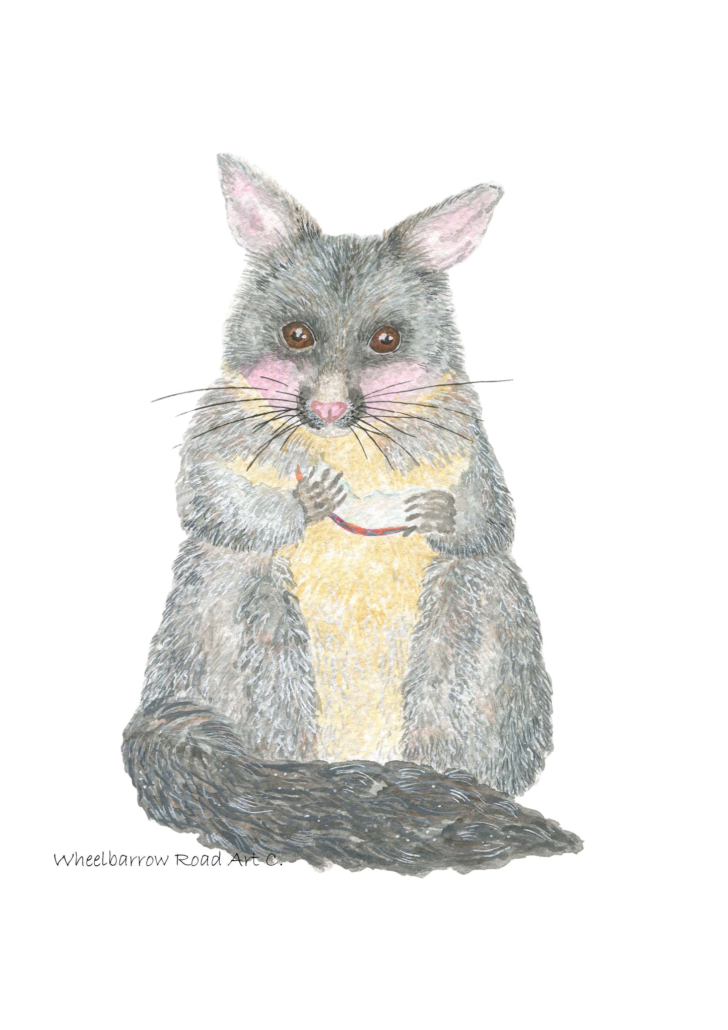 BRUSH-TAILED POSSUM NURSERY PRINT