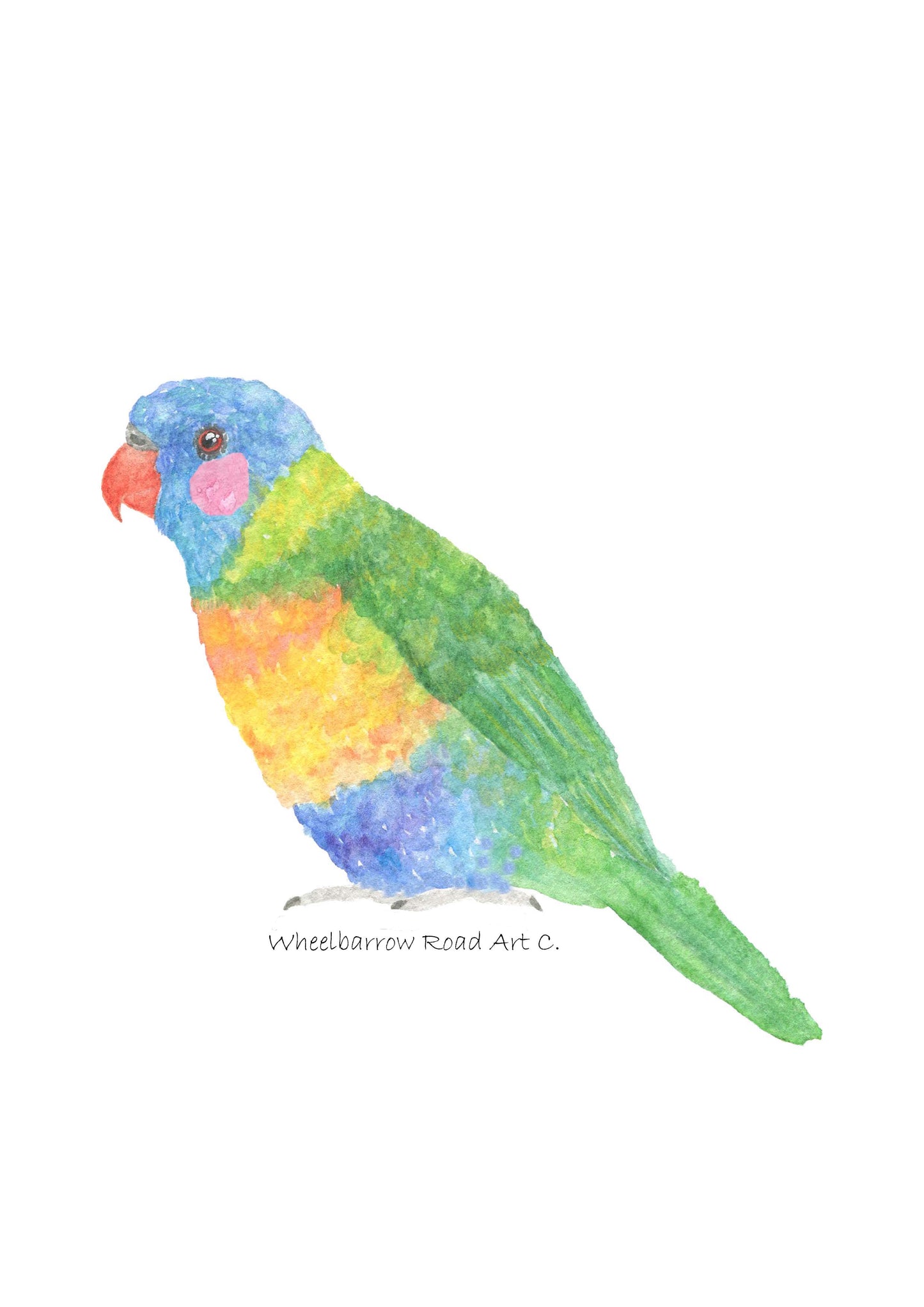 RAINBOW LORIKEET NURSERY PRINT