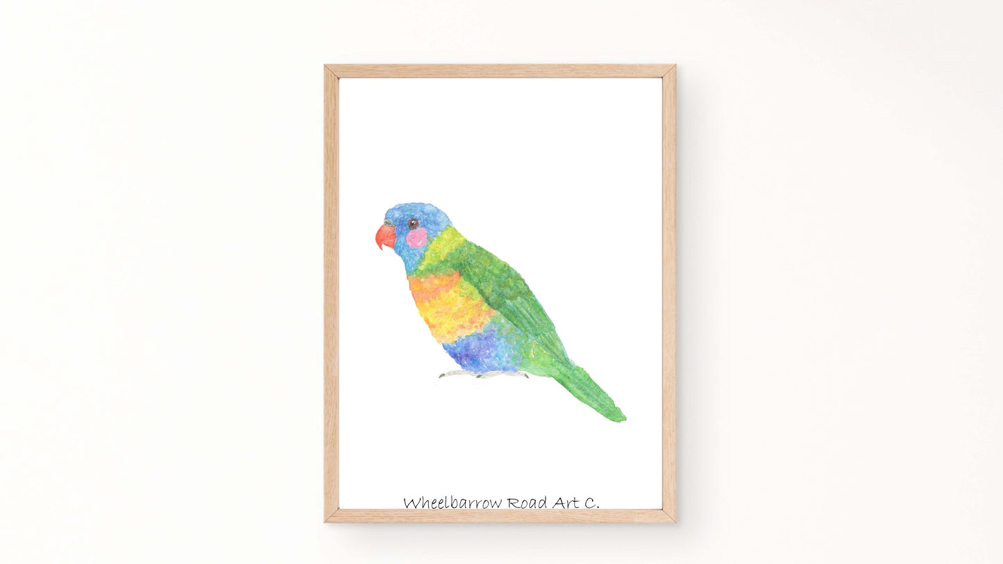 RAINBOW LORIKEET NURSERY PRINT