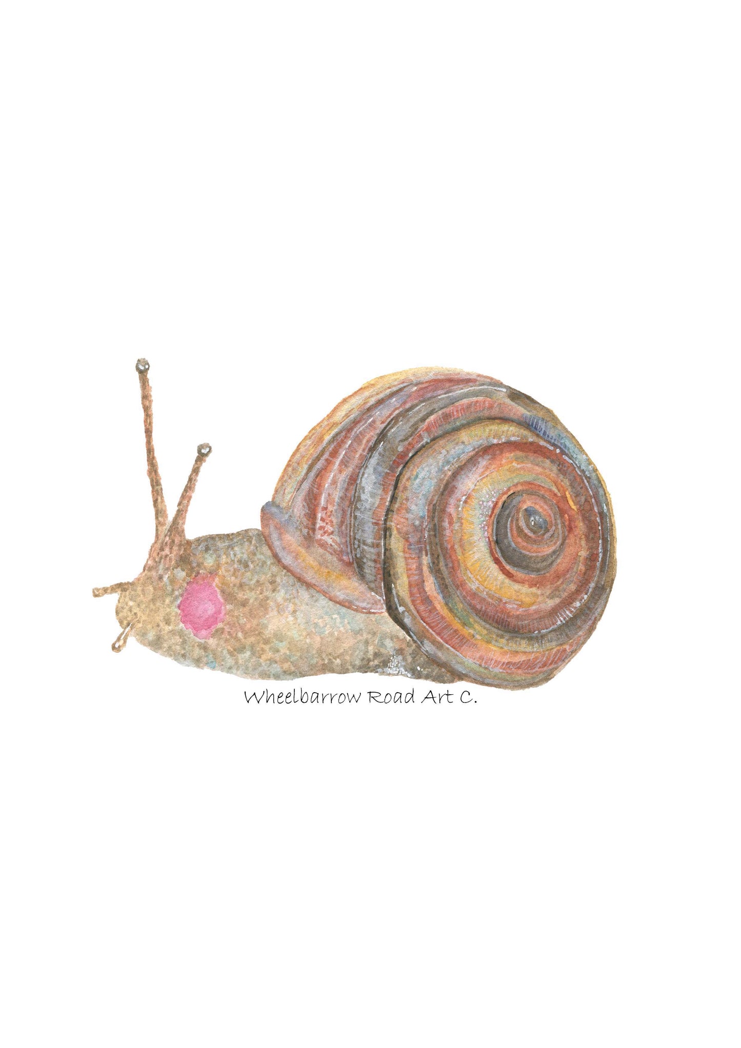 PALE BANDED SNAIL NURSERY PRINT