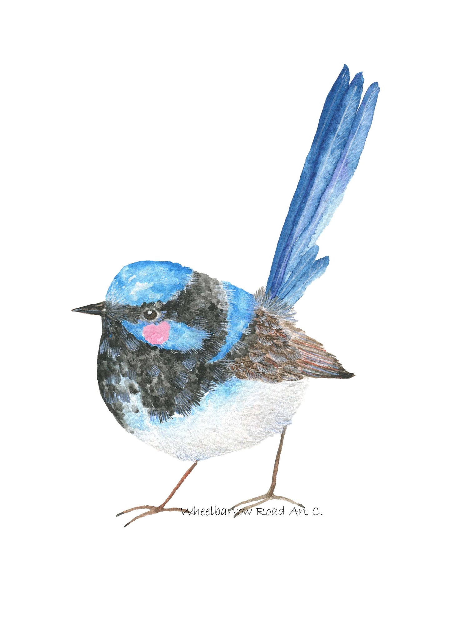 BLUE FAIRYWREN NURSERY PRINT