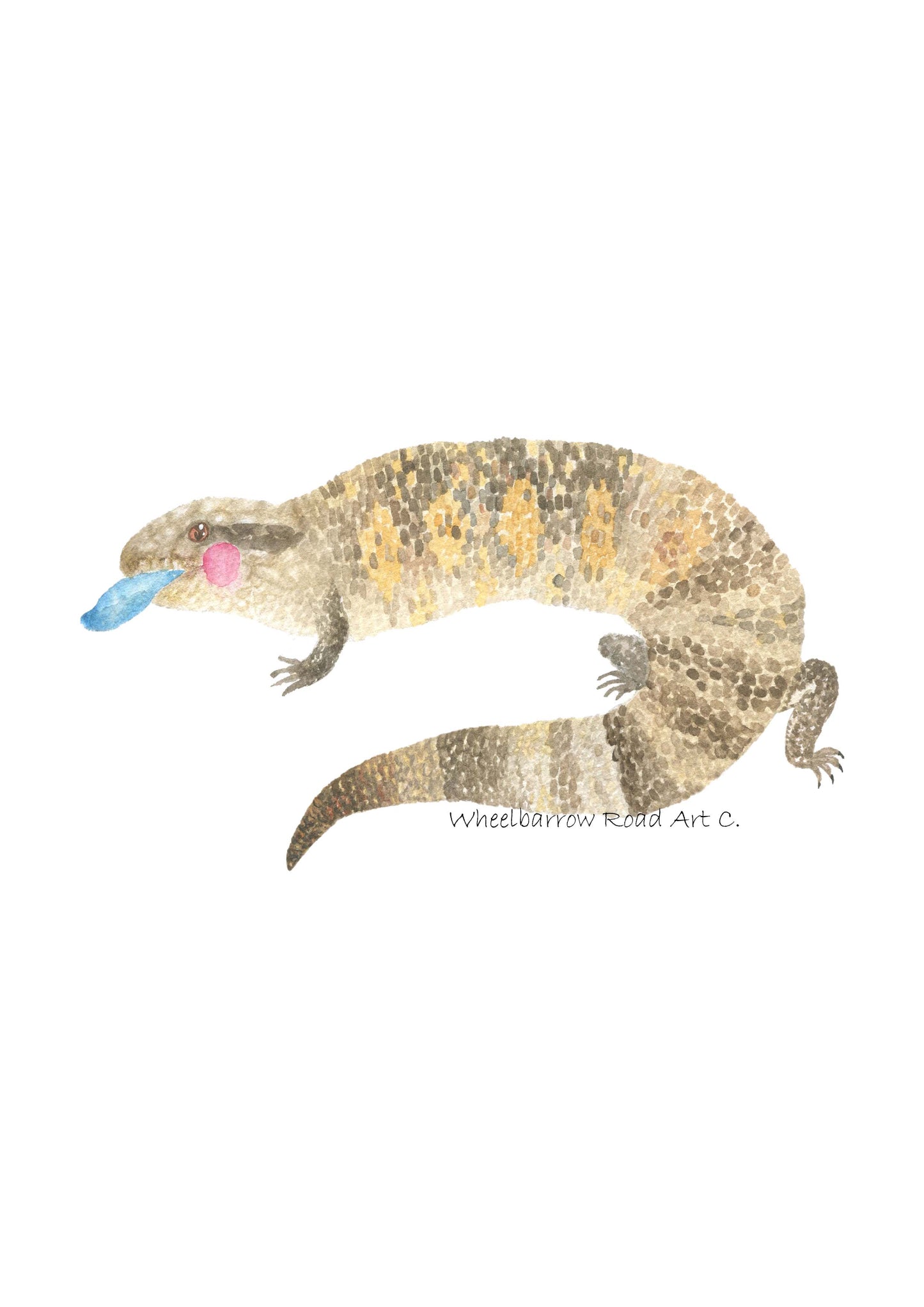 BLUE TONGUE LIZARD NURSERY PRINT