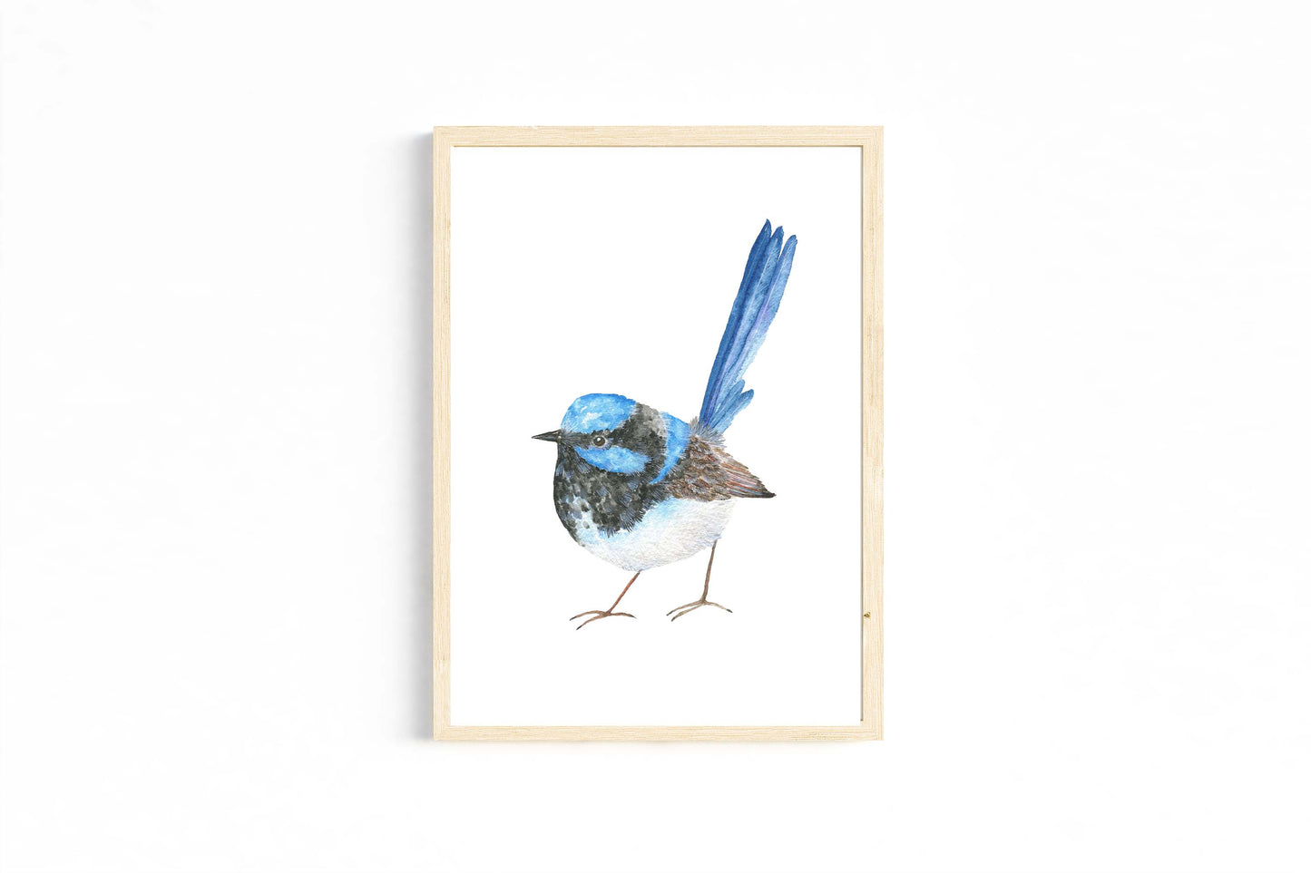 Blue Fairywren watercolour print