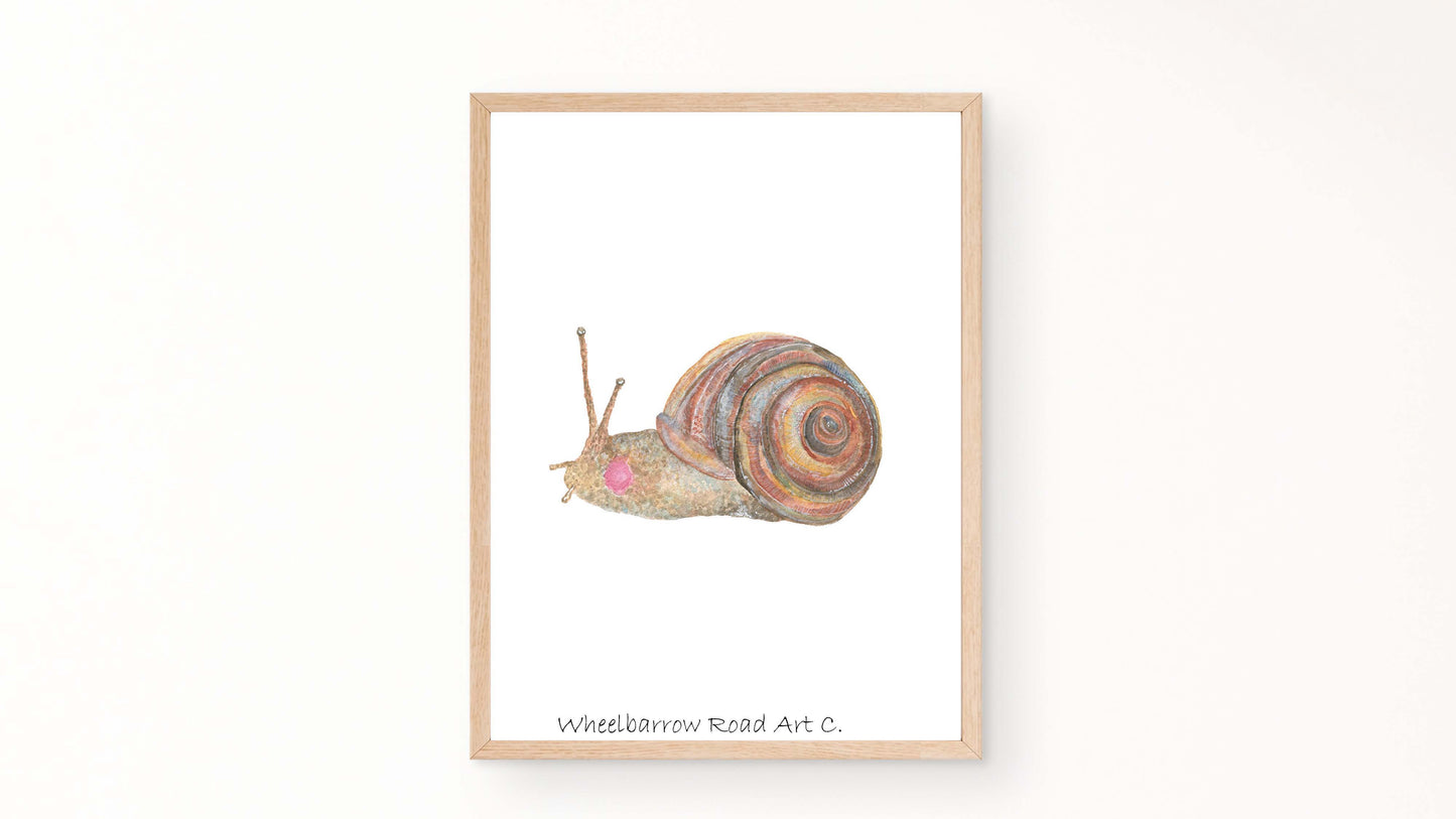 PALE BANDED SNAIL NURSERY PRINT